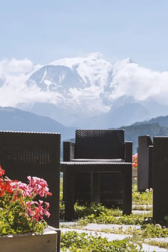 Aux Ducs de Savoie Terrasses (5)