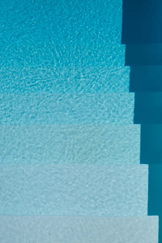 Aux Ducs de Savoie été (1)